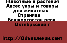 Животные и растения Аксесcуары и товары для животных - Страница 2 . Башкортостан респ.,Октябрьский г.